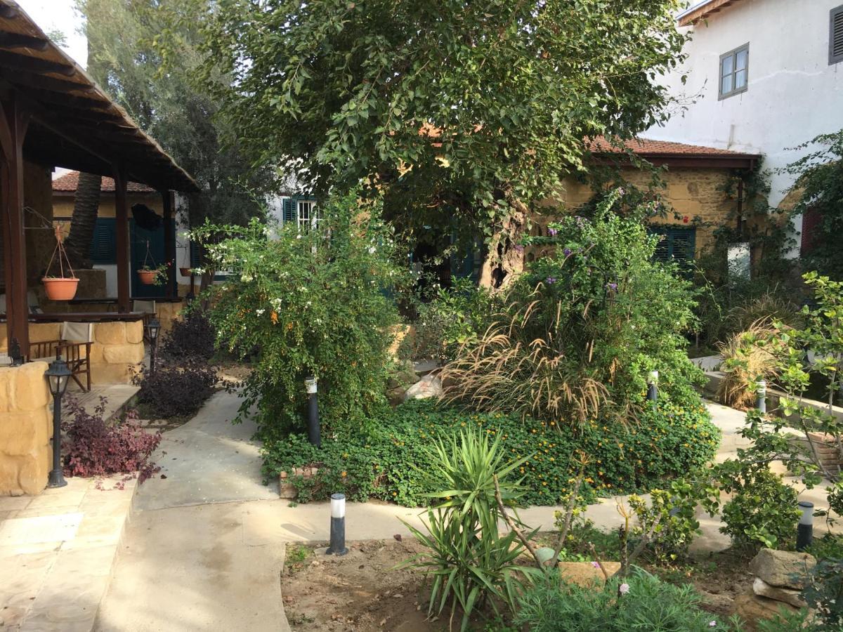 Palm Garden Guest House Nicosia Ngoại thất bức ảnh